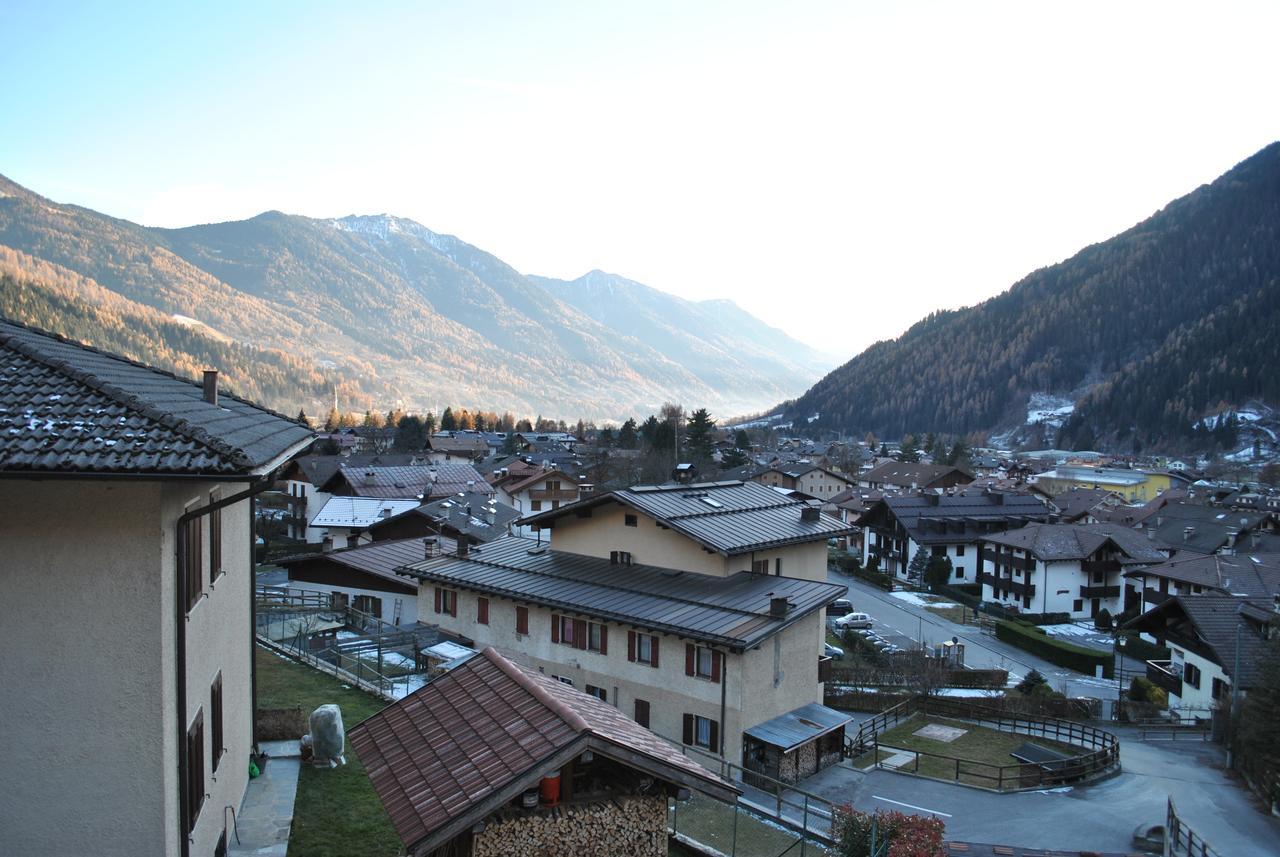 Villetta Con Giardino E Panorama Daire Carisolo Dış mekan fotoğraf