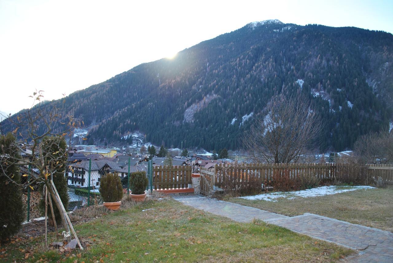 Villetta Con Giardino E Panorama Daire Carisolo Dış mekan fotoğraf